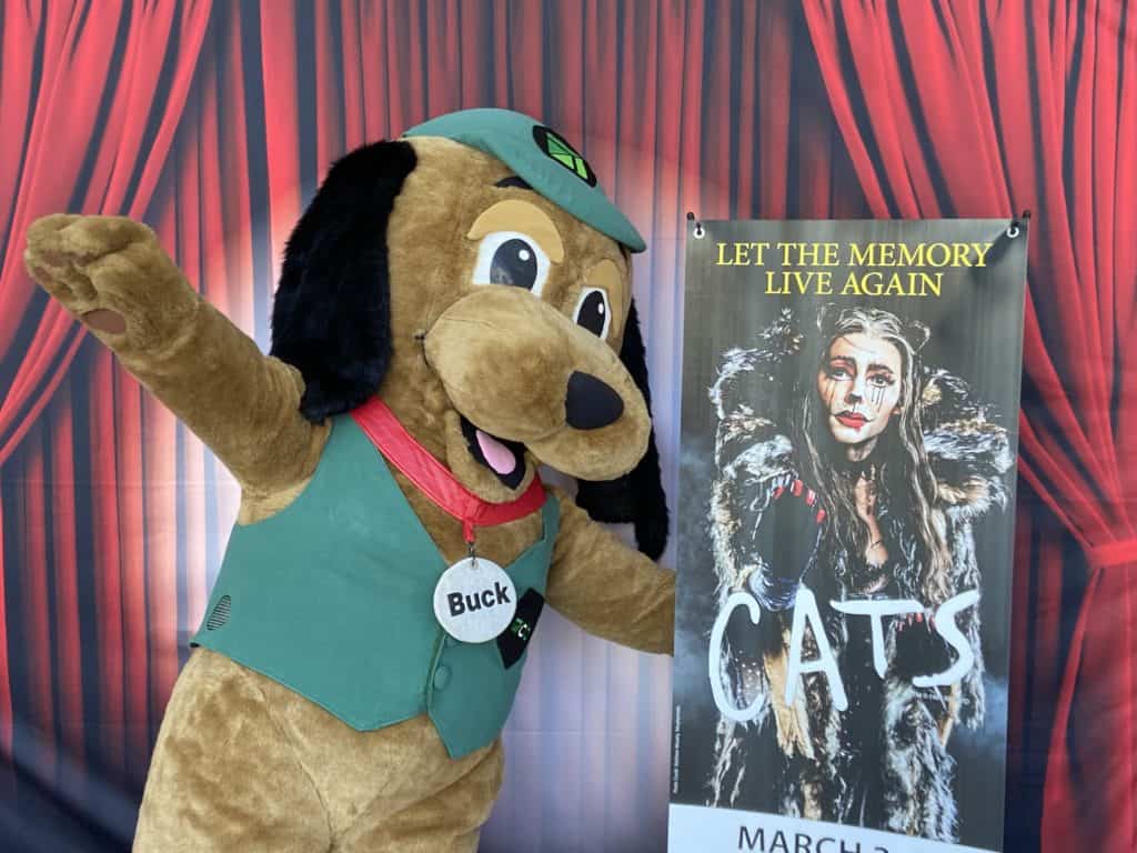 Country Bank's mascot Buck, a big brown dog with a green vest and cap, is standing next to the CATS Banner with his arms up in excitement.
