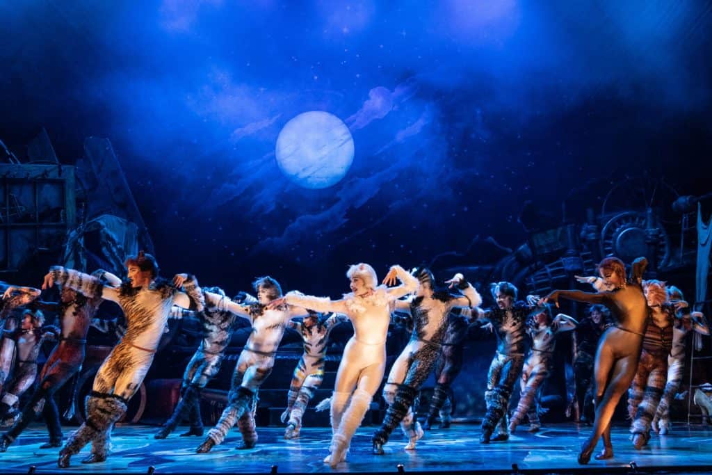 The cast of CATS is dancing across the stage with their arms stretched out to the left. The cats are an assortment of colors, standing in front of a backdrop of a night sky.