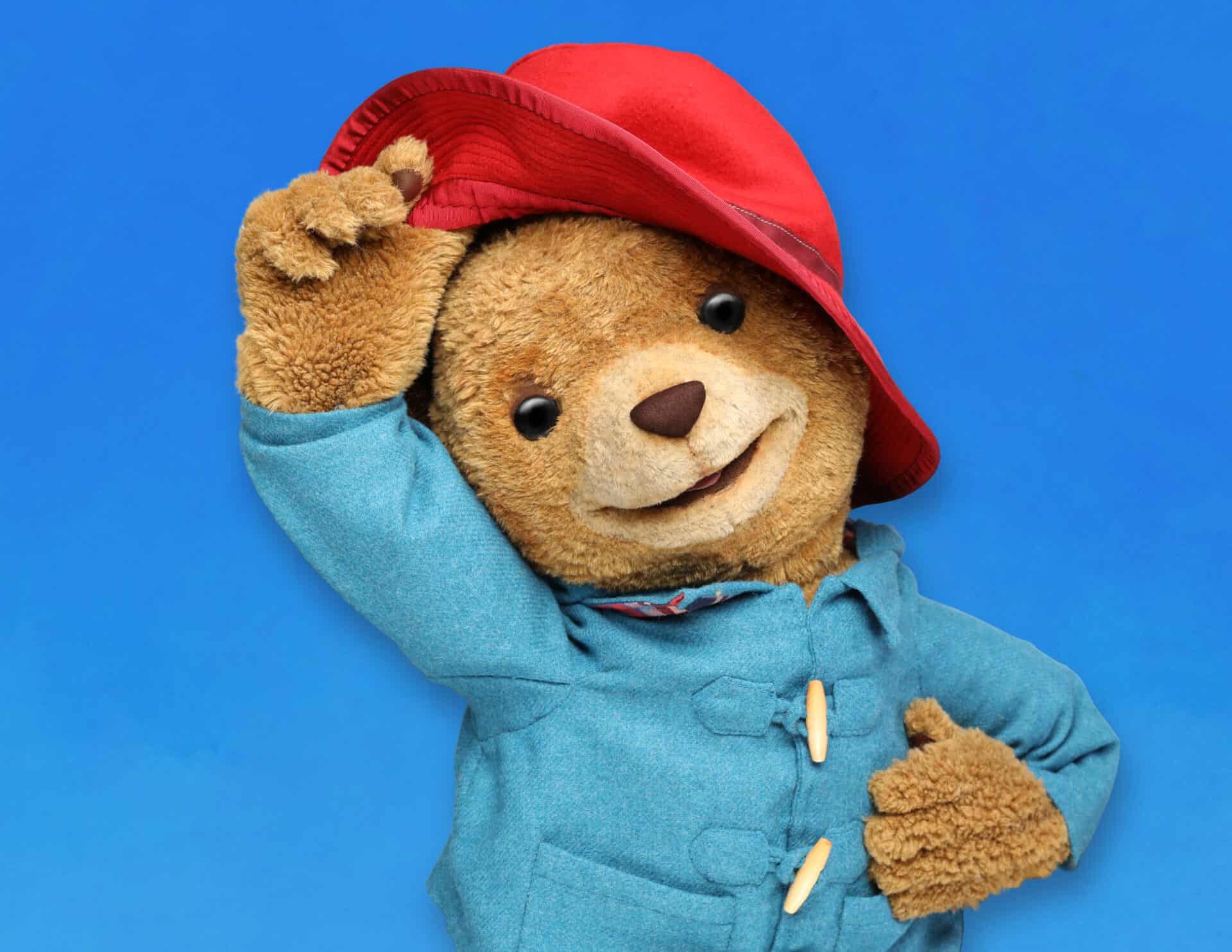 Puppet of Paddington Bear lifting up red hat